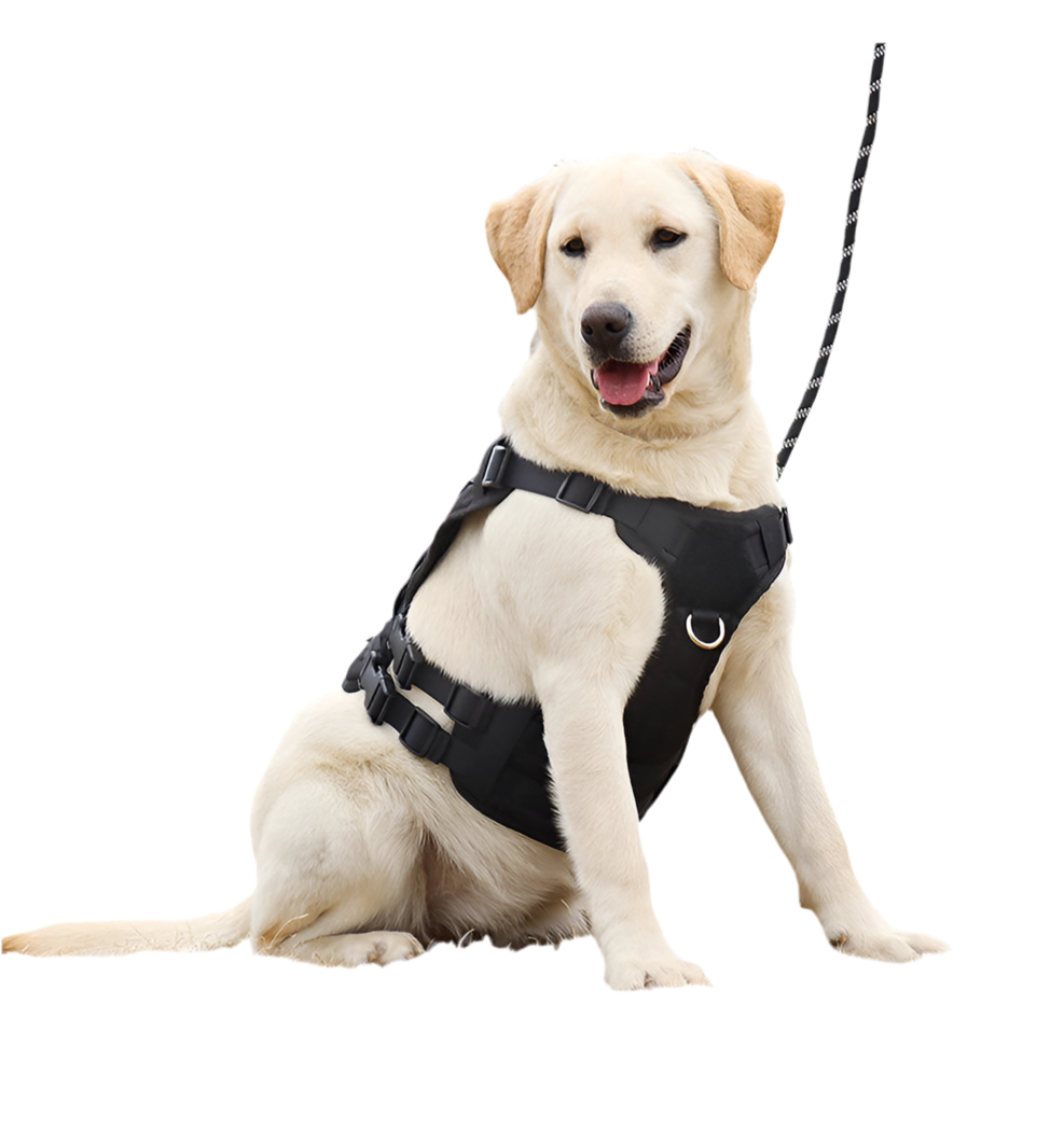 “Pet Accessories Dog Harness Tactical Vest – Outdoor Training & Walking Chest Sling for Medium and Large Dogs”