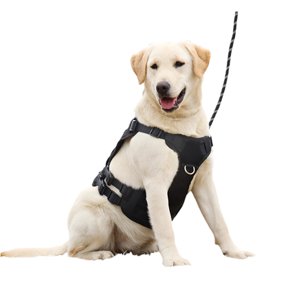 “Pet Accessories Dog Harness Tactical Vest – Outdoor Training & Walking Chest Sling for Medium and Large Dogs”