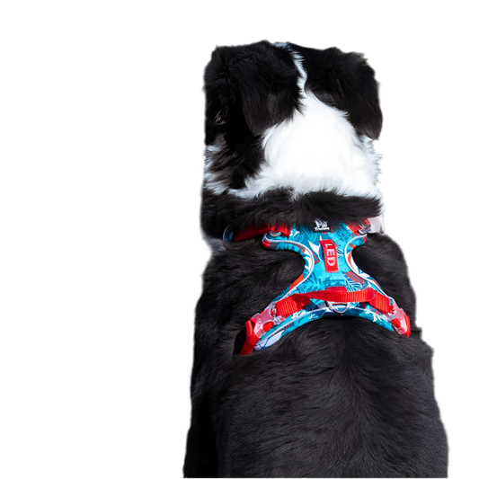 Truelove Pet Harness for Small, Medium & Large Dogs – Stylish and Durable Outdoor Harness