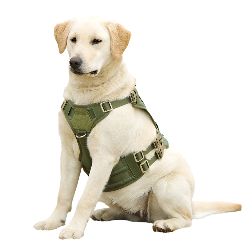 “Pet Accessories Dog Harness Tactical Vest – Outdoor Training & Walking Chest Sling for Medium and Large Dogs”