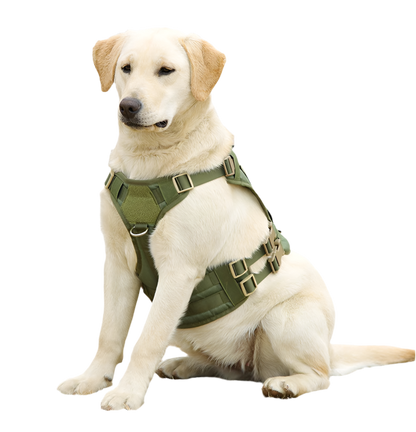 “Pet Accessories Dog Harness Tactical Vest – Outdoor Training & Walking Chest Sling for Medium and Large Dogs”